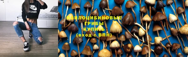 МДПВ Вязьма
