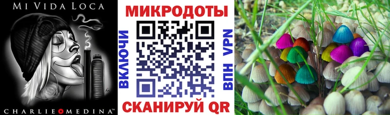 где найти наркотики  даркнет наркотические препараты  Псилоцибиновые грибы прущие грибы  Гурьевск 