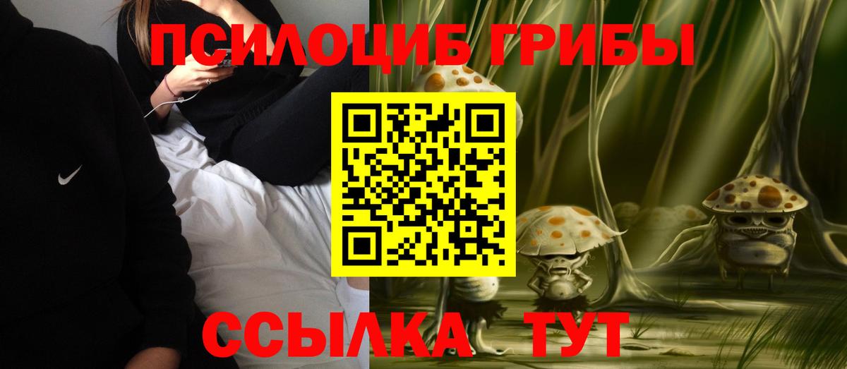 Галлюциногенные грибы прущие грибы  Вход с VPN  Гурьевск  сколько стоит  Галлюциногенные грибы Magic Shrooms 