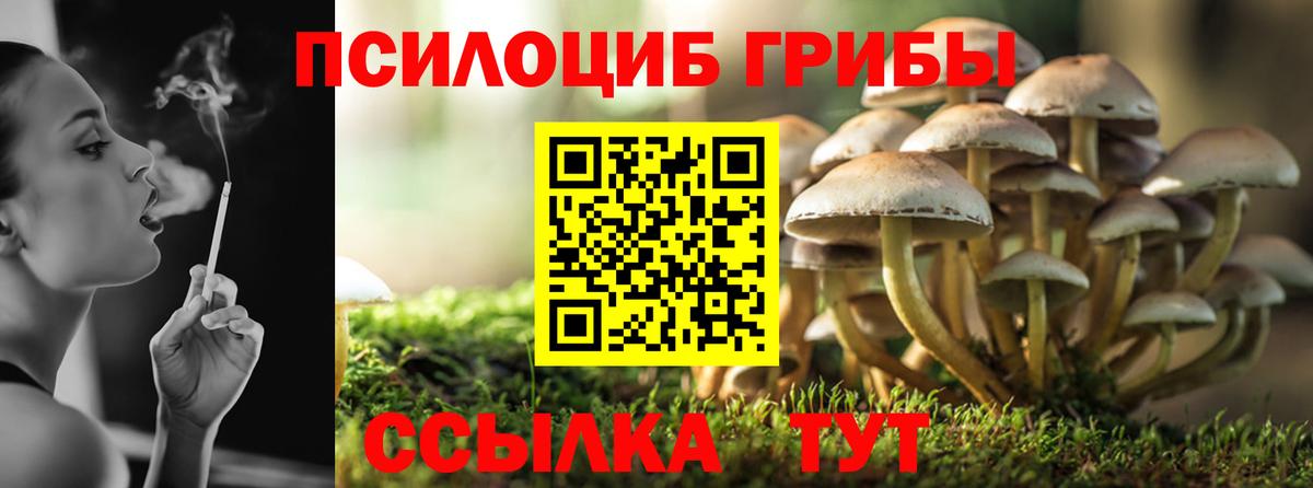 Галлюциногенные грибы Magic Shrooms  Гурьевск  Галлюциногенные грибы Cubensis 