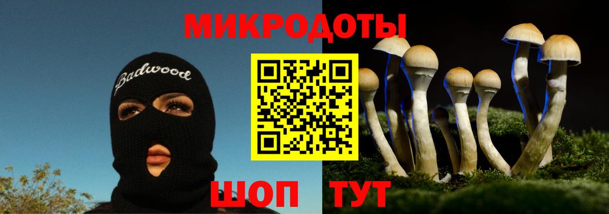Псилоцибиновые грибы мухоморы Гурьевск