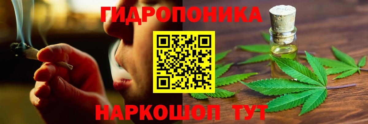 Канабис индика  Бошки Шишки Bruce Banner  Гурьевск  Канабис семена 